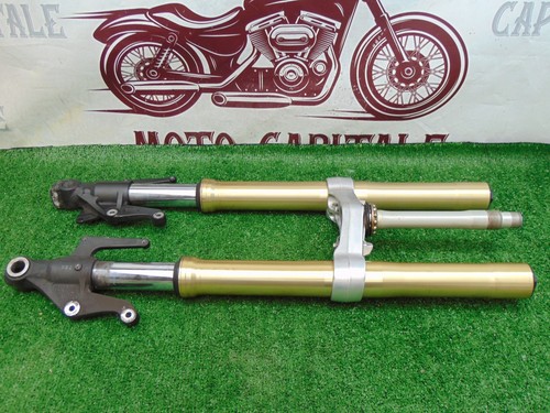Forcella steli triumph - forcella,