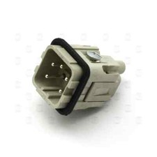 Frutto Spina Maschio ILME 5