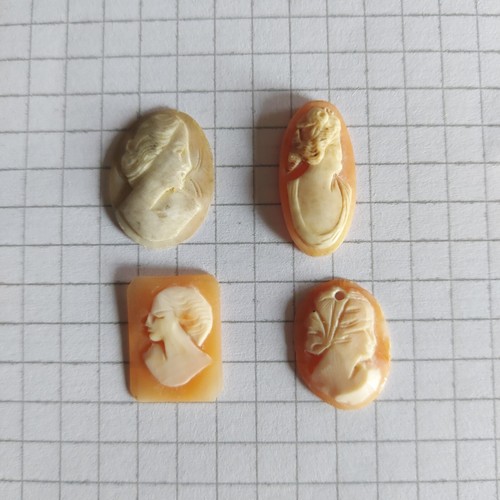 Cammeo camei cameos conchiglia - cammeo,