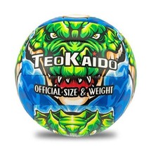 Pallone Beach Volley