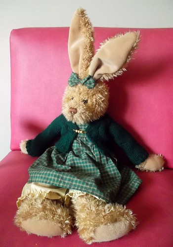Teddy bear coniglio rabbit - bear, con