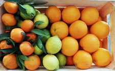BOX 15 kg Agrumi misti Siciliani Arance Clementini Limoni BIOLOGICI Bio sicilia