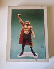 Tiger Mask Tigerman Uomo Tigre