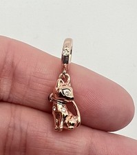 Charm pl gatto/gattino