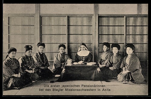 Akita prime pensionate - ak,