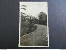 19943) GENOVA PROBABILMENTE UNO SCORCIO NEL PARCO DI VILLA CARRARA A QUARTO