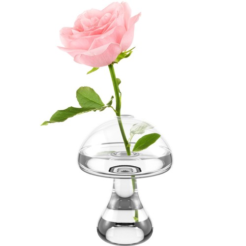 Vasi decorativi vaso - vasi,