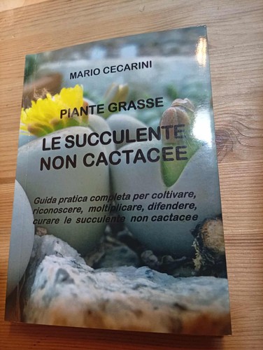 Piante grasse succulente - grasse,