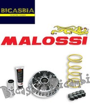 7161 - VARIATORE MALOSSI