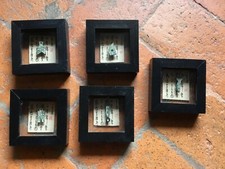 Set quadretti con - set, di