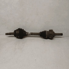 46307687 Semialbero ant