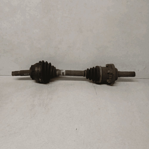 46307687 semialbero ant - semialbero,