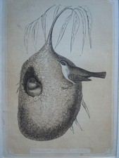 19th century