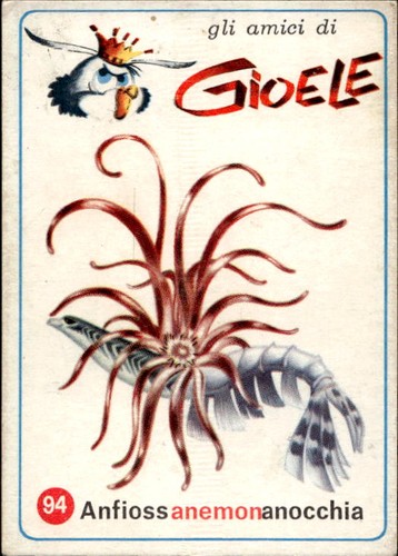 Figurina gli amici gioele - amici,