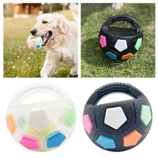 Dog Soccer Ball Outside Dog