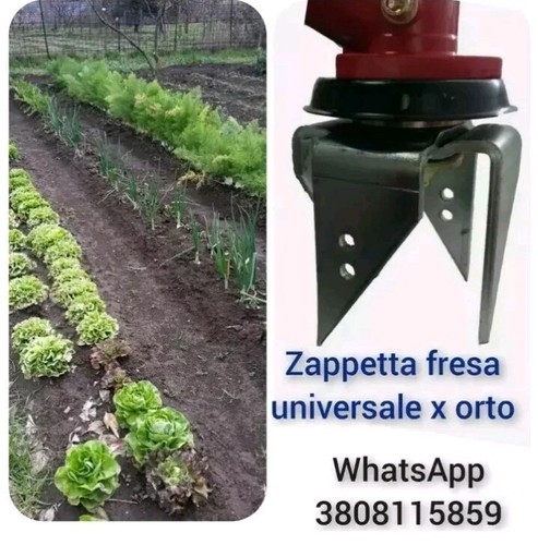 Disco testina zappetta fresa - zappetta,