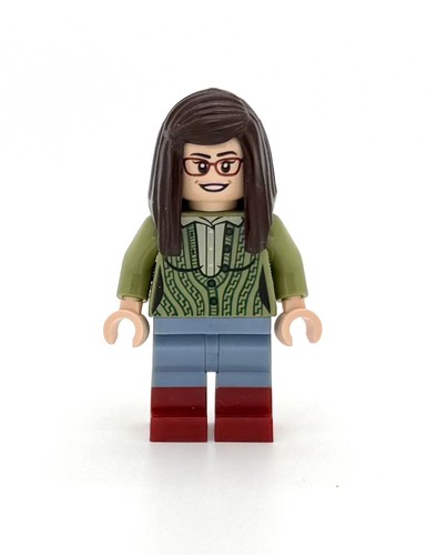 Lego the big bang theory - the,