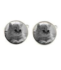 Gemelli uomo gatto persiano