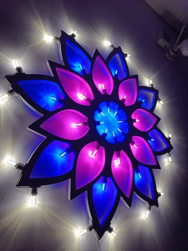 Luminaria salentina fiore - salentina,