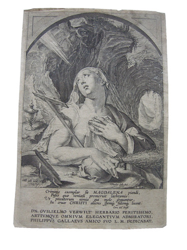 Theodor galle - theodor,