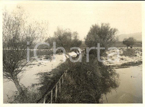 1935 agro pontino pianura - 1935,