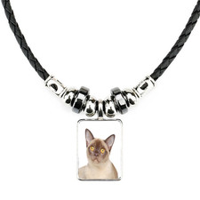 Burmese Cat Pet Soft Black