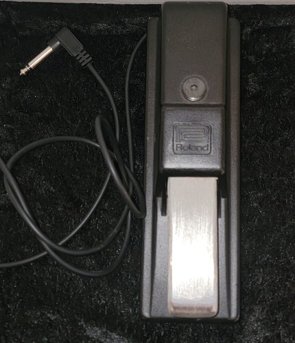 Vintage roland sustain - vintage,