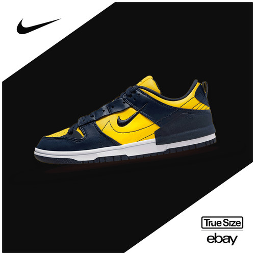 Nike dunk michigan disrupt - dunk,