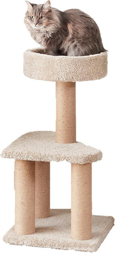 Albero tiragraffi torre - tiragraffi, torre,