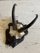 Antico Teschio Trofeo di