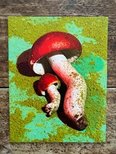 MUSHROOMS & FRIENDS #1 Phyllis