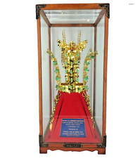 Riconoscimento al generale