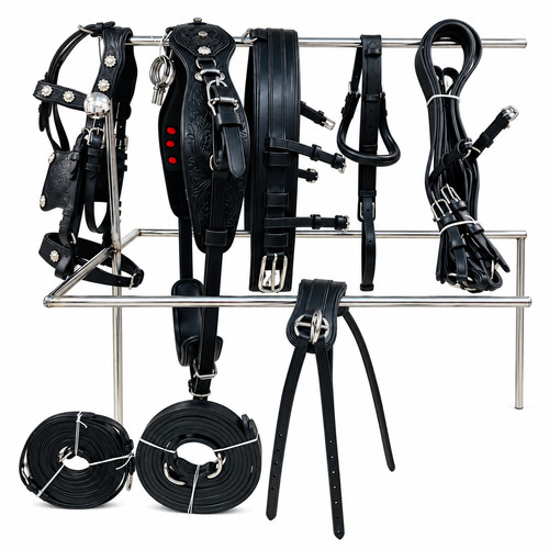Set imbracatura guida cavalli
