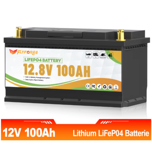Batteria 12v 100ah lifepo4 - batteria,