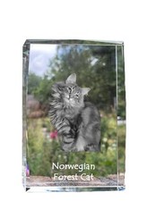 Gatto delle foreste norvegesi cristallo con gatto Art-Dog