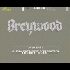 Usato Breywood con Gambo