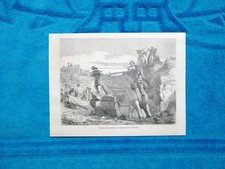 Gravure Année 1863 - Taureau