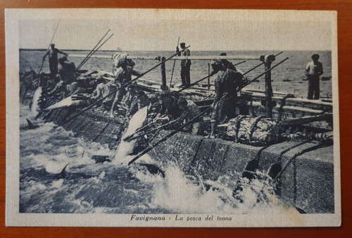 Cartolina epoca viaggiata - cartolina,
