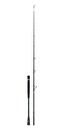 Canna vertical live - canna, vertical/live