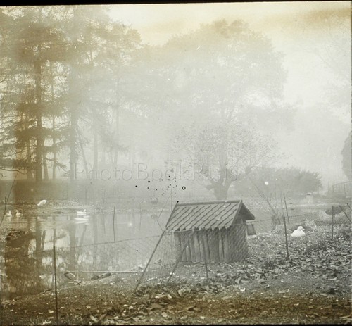 Effetto nebbia lac foresta - effetto,