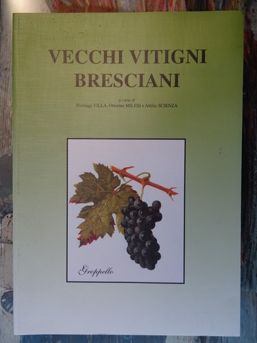 Vecchi vitigni bresciani - ,