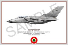 Panavia Tornado Squadron Print