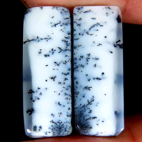 Coppia cuscini opale dendrite