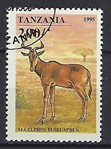 Tanzania 1995 animali - tanzania, (3)