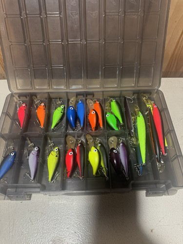 Color lector fishing - c,
