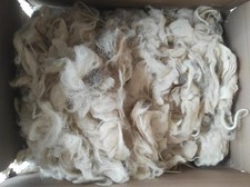 2 Kg circa, Lana di pecora