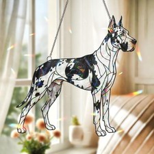 Grande alano acrilico