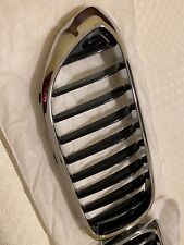 per BMW Serie 5 G30 G31 (2017/2020) Griglie Reni Anteriori 