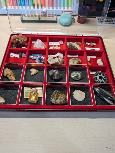 Collezione fossili minerali - e,