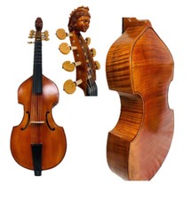 CANZONE Maestro Viola Da Gamba,7 corde 29",Gamba pergamena regina intagliata,buon suono